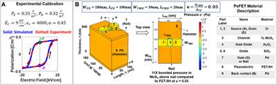 STeP-CiM: Strain-Enabled Ternary Precision Computation-In-Memory Based on Non-Volatile 2D Piezoelectric Transistors